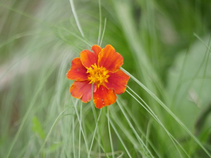 We’re building the&nbsp;site!